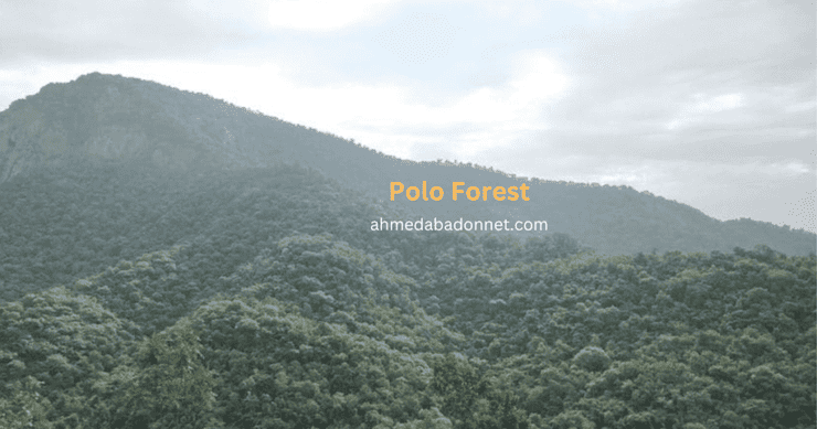 Polo Forest near Ahmedabad